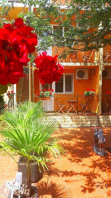 Фотографии Гостевой дом Vila Floarea г. Костинешти (Румыния) №2 Фото Гостевой дом Vila Floarea г. Костинешти 2