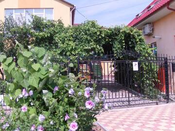 Фотографии Проживание в семье Vila Liana г. Костинешти (Румыния) №1 Фото Проживание в семье Vila Liana г. Костинешти 1