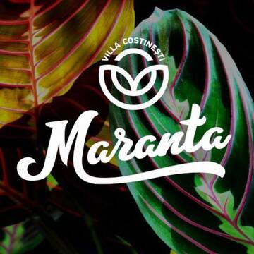 Фотографии Гостевой дом Villa Maranta г. Костинешти (Румыния) №2 Фото Гостевой дом Villa Maranta г. Костинешти 2
