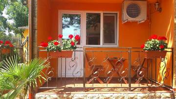 Фото номера Двухместный номер с 1 кроватью Гостевой дом Vila Floarea г. Костинешти 3