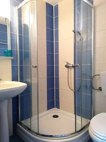 Фото номера Двухместный номер с 1 кроватью Гостевой дом Vila Floarea г. Костинешти 7