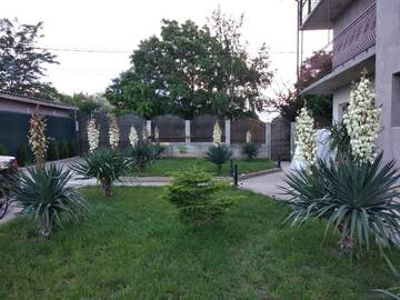 Фото номера Стандартный двухместный номер с 1 кроватью Гостевой дом VILA SIMONE г. Костинешти 12