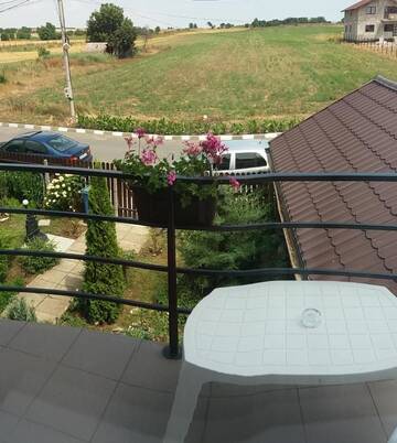 Фото номера Двухместный номер с 1 кроватью и балконом Гостевой дом Casa Benny г. Костинешти 2