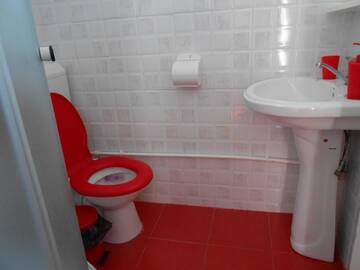 Фото номера Двухместный номер с 1 кроватью Гостевой дом VILA ANKARA г. Костинешти 4