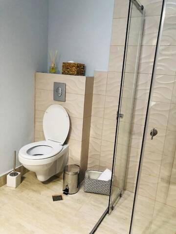 Фото номера Номер с кроватью размера «queen-size» и балконом Гостевой дом Villa Maranta г. Костинешти 16