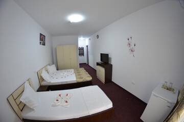 Фото номера Номер-студио с балконом Гостевой дом Razvan Holiday г. Костинешти 4
