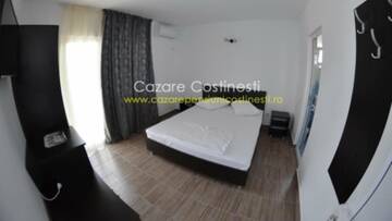 Фото номера Двухместный номер с 1 кроватью Гостевой дом Vila Elada г. Костинешти 4